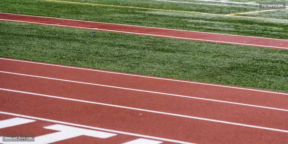 为什么选择我们