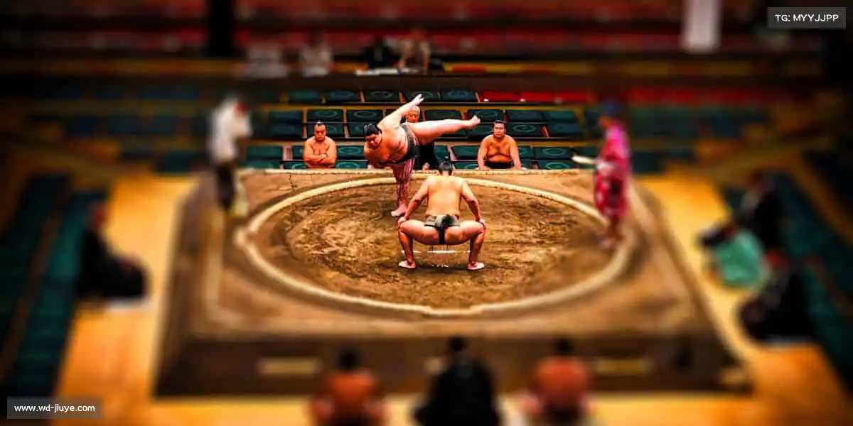 我们的品牌价值